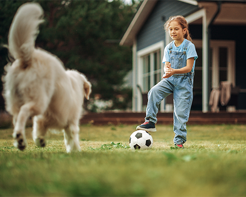 Child and large fluffy dog playing on a green residential lawn, illustrating pet-friendly lawn protection