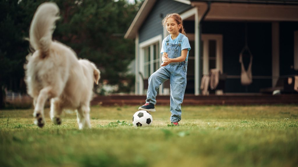 Child and large fluffy dog playing on a green residential lawn, illustrating pet-friendly lawn protection