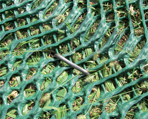 Close-up macro of green grass shoots growing up through Tenax ground protection mesh after installation
