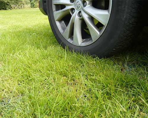 Real-world view of a car wheel on Tenax GP Flex ground protection mesh with grass visible at the vehicle edge