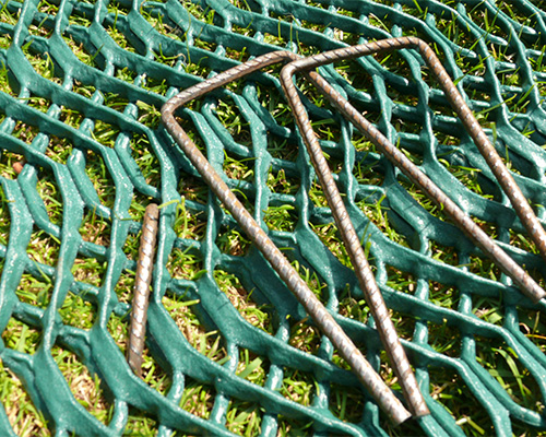 Close view of Tenax GP Flex mesh with fixing pins installed and grass growing through the cells, showing successful establishment