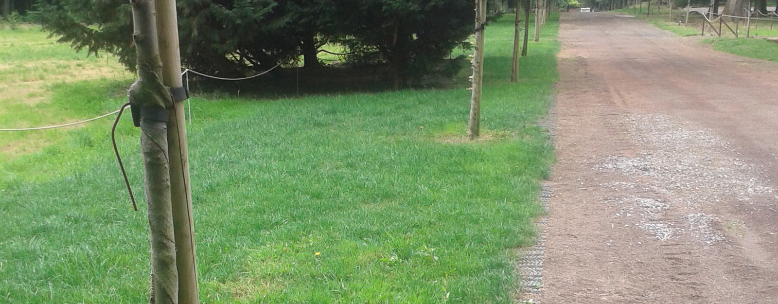 Bare worn dirt path beside green grass in a golf course or park setting, showing ground damage before Tenax GP Flex mesh installation