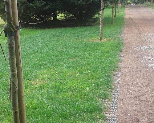 Bare worn dirt path beside green grass in a golf course or park setting, showing ground damage before Tenax GP Flex mesh installation