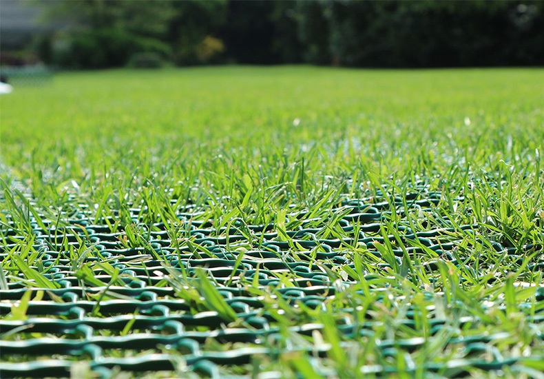 Close-up of Tenax Turf Reinforcement mesh with grass growing through the cells and a fixing pin visible securing the mesh