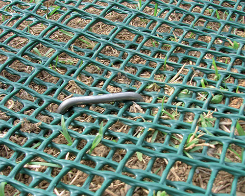 Angled close-up of Tenax Turf Reinforcement mesh with grass and straw growing through the cells and a fixing pin securing it