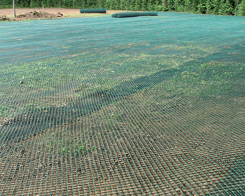 Wide perspective of Tenax Turf Reinforcement mesh laid across a large field showing large-scale installation in progress