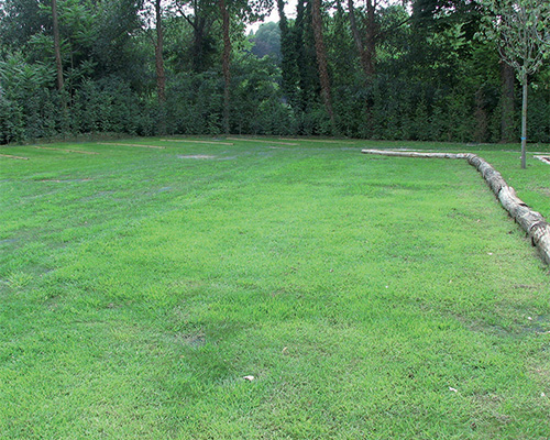 Tenax Turf Reinforcement mesh installed showing a green lawn result with visible mesh strip edging against a wooded backdrop