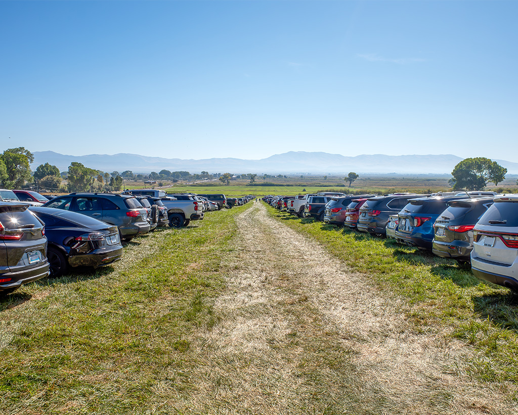 Multiple cars parked on a bare dirt and grass overflow parking lot beside a commercial building, showing the problem of unprotected commercial overflow parking