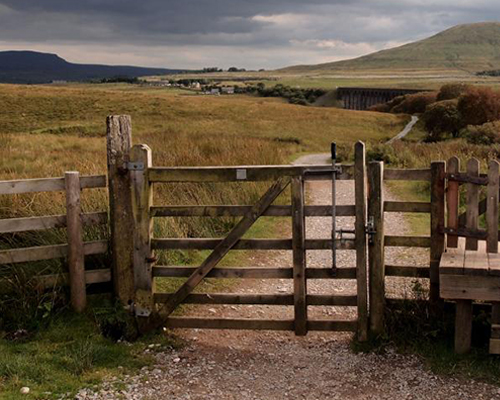 wooden farm gate opening to a pathway