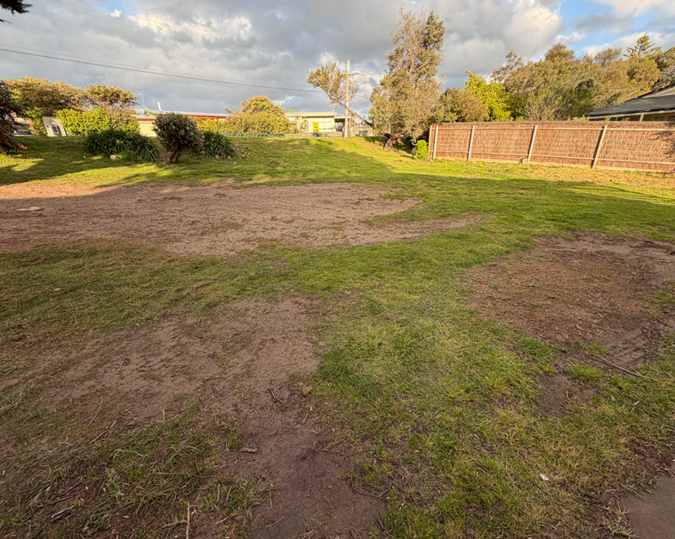 residential backyard with patchy grass