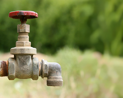 water faucet in front of grass and trees