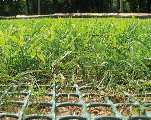 Long straight reinforced grass access road with strong perspective, showing Tenax turf reinforcement mesh installed result