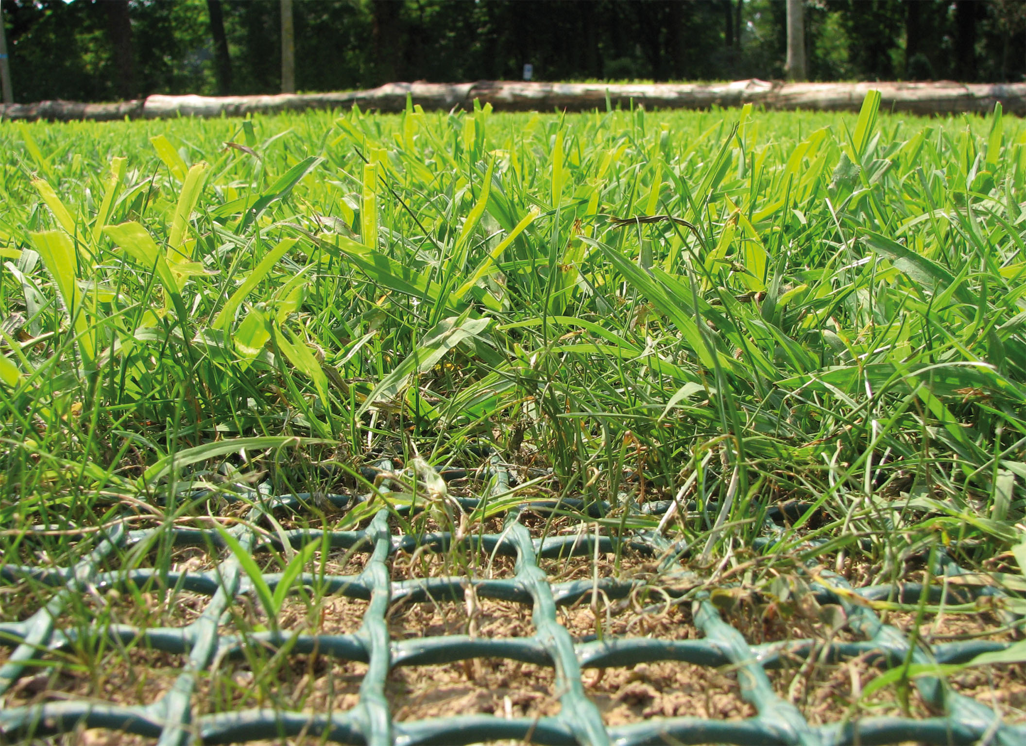 Long straight reinforced grass access road with strong perspective, showing Tenax turf reinforcement mesh installed result