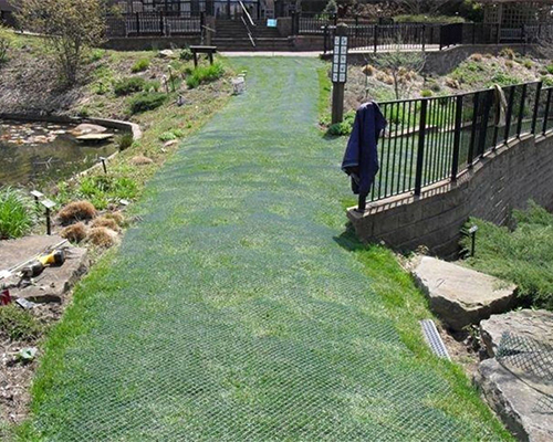 Reinforced grass access road at an outdoor event or festival parking field, showing mesh-protected turf result