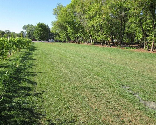 Wide view of a reinforced grass track across an open field, showing Tenax turf reinforcement mesh at scale