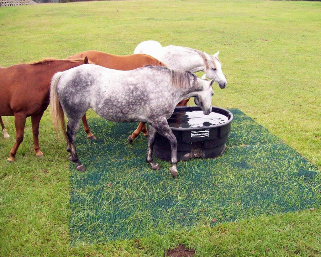 Wide shot of multiple horses gathered at a water trough on Tenax ground protection mesh at an equestrian farm