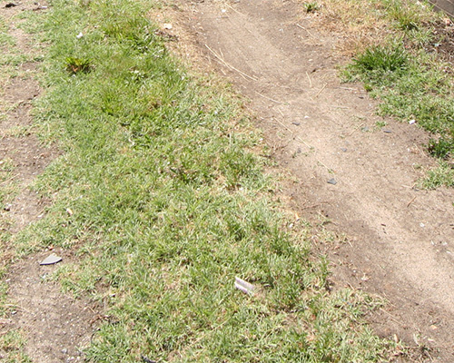 Bare dirt access road or track without ground protection mesh, showing unprotected ground before Tenax installation