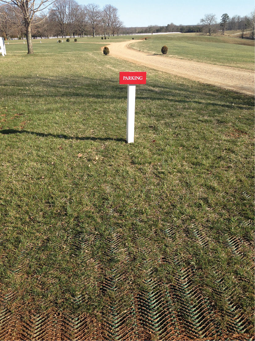 Tenax ground protection mesh reinforcing a grass path at Castle Hill, showing installed result in an event or park setting