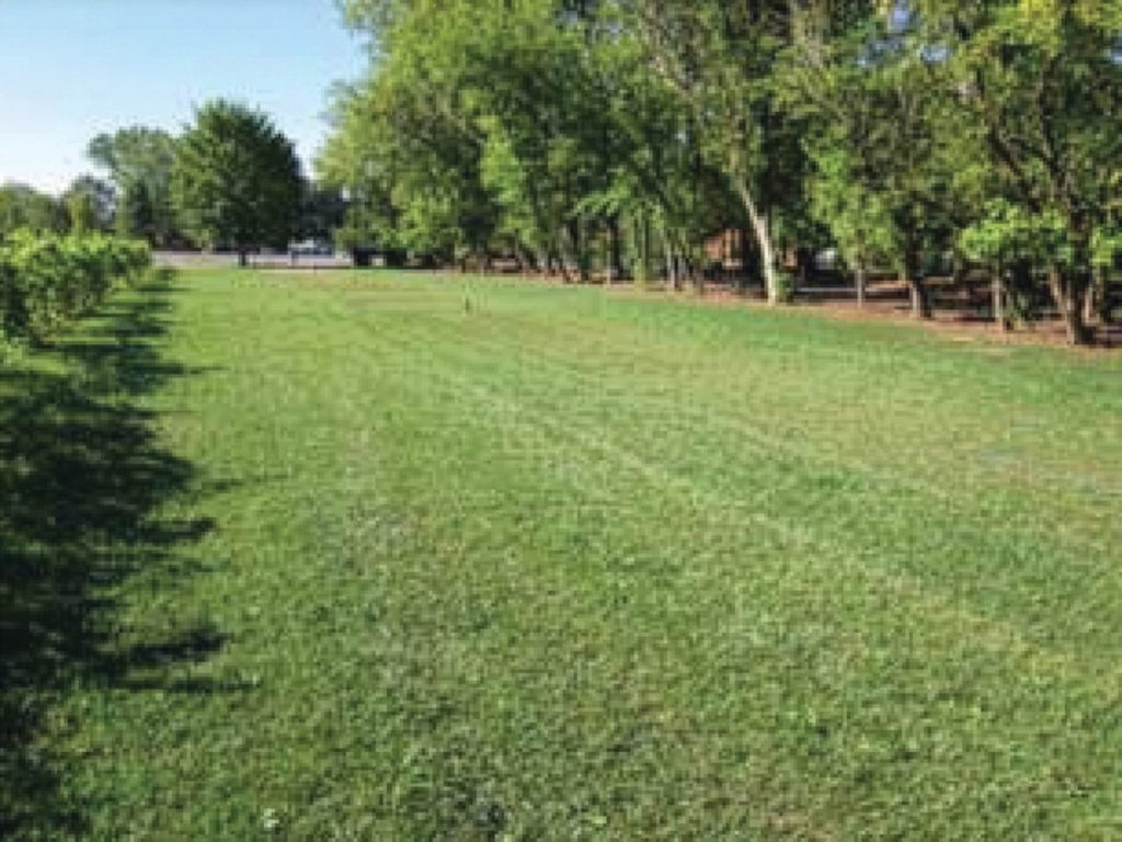Well-maintained green event lawn at Gervasi Vineyard reinforced with Tenax ground protection mesh