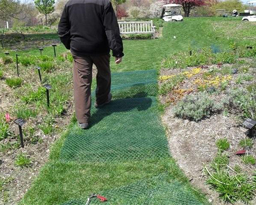 Person installing Tenax ground protection mesh pins along a garden path at the Holden Arboretum with flowers nearby
